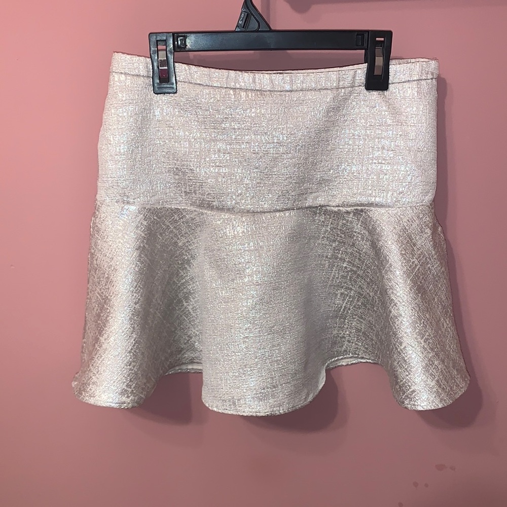 Silvery Express Miniskirt